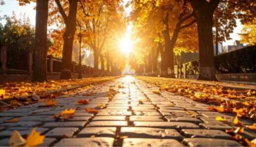 【更新】ラジオ第333回目を文字起こししました