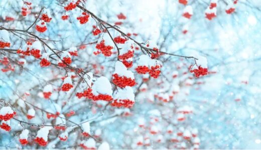 【更新】ラジオ第343回目を文字起こししました（文字数が多いので2つに分割）