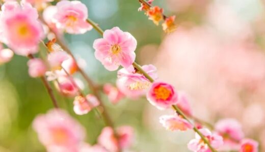 【更新】ラジオ第347回目を文字起こししました